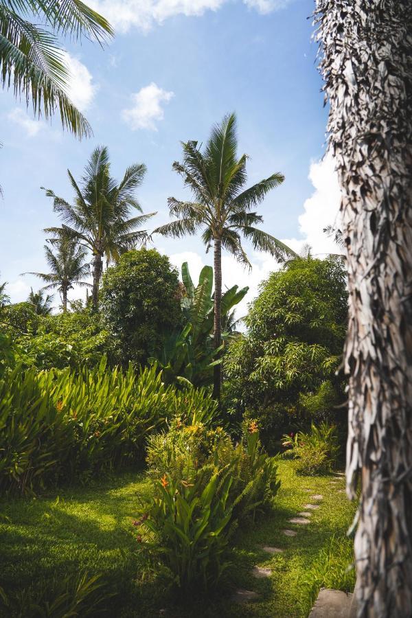 Triangle Palms Siargao Villa Хенерал Луна Екстериор снимка
